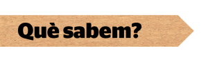 que sabem